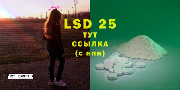 прущие грибы Баксан