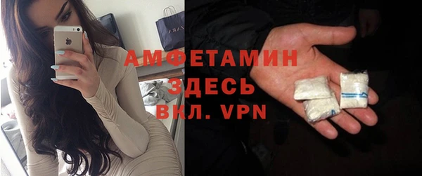 прущие грибы Баксан