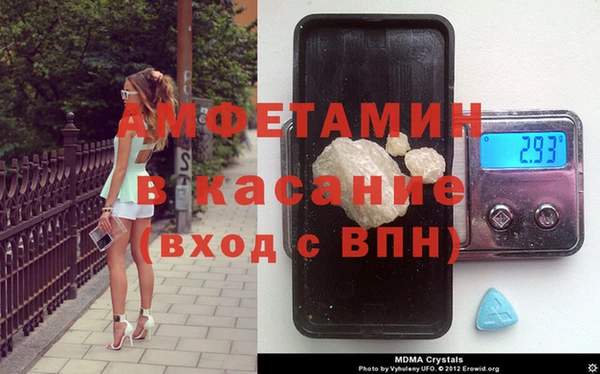 прущие грибы Баксан