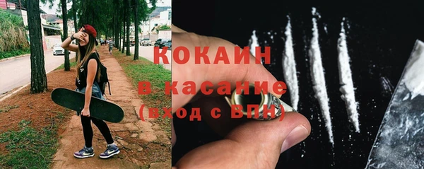 прущие грибы Баксан