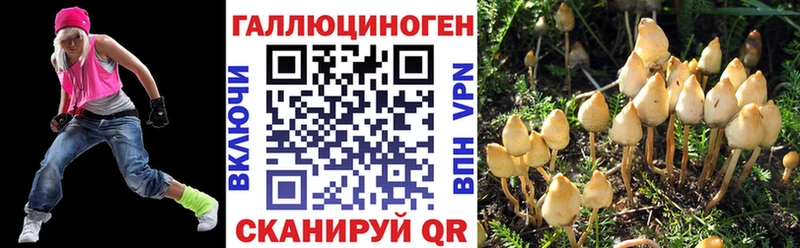 Псилоцибиновые грибы Cubensis  купить закладку  Гурьевск 